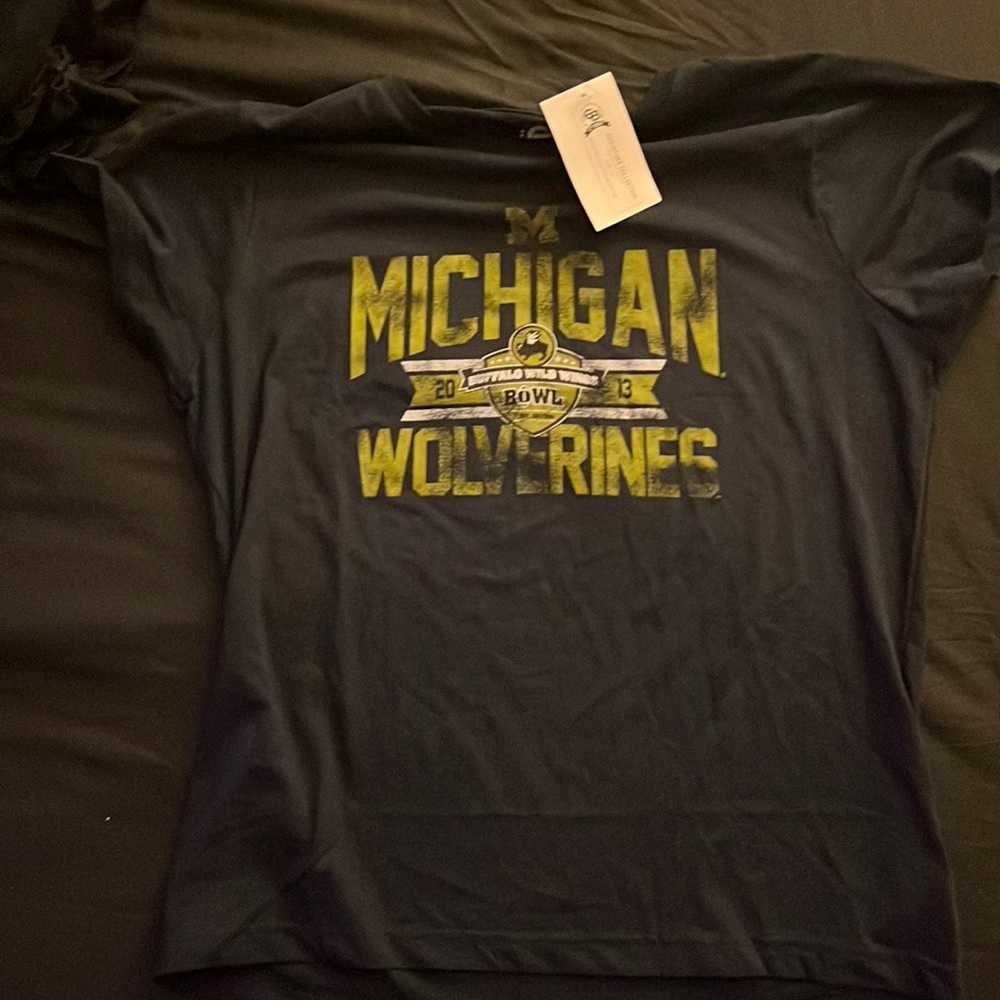 Michigan Wolverines 2015 Buffalo Wild Wings Bowl